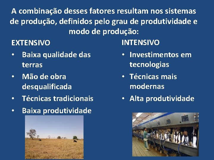 A combinação desses fatores resultam nos sistemas de produção, definidos pelo grau de produtividade
