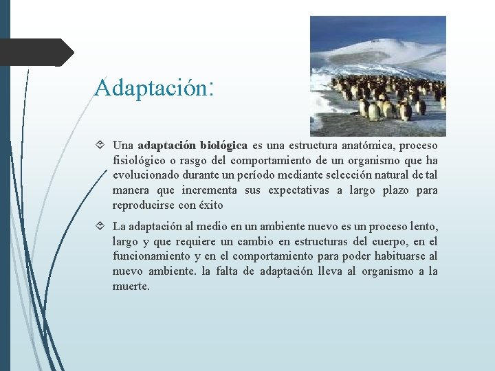 Adaptación: Una adaptación biológica es una estructura anatómica, proceso fisiológico o rasgo del comportamiento