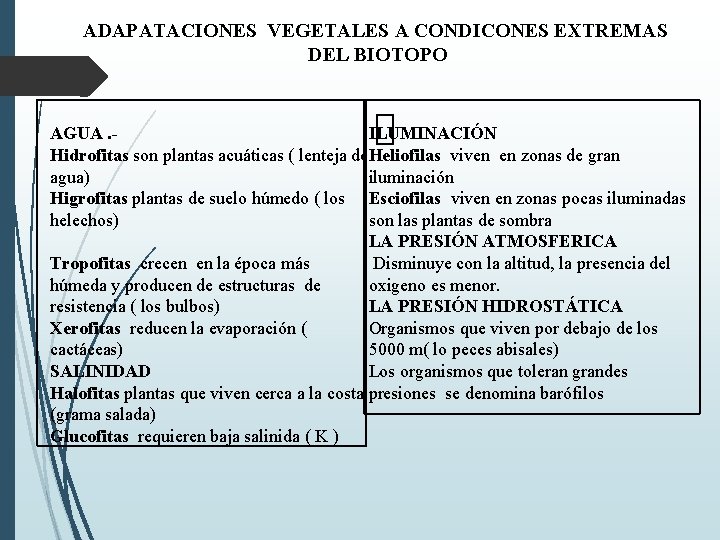 ADAPATACIONES VEGETALES A CONDICONES EXTREMAS DEL BIOTOPO ILUMINACIÓN AGUA. Hidrofitas son plantas acuáticas (