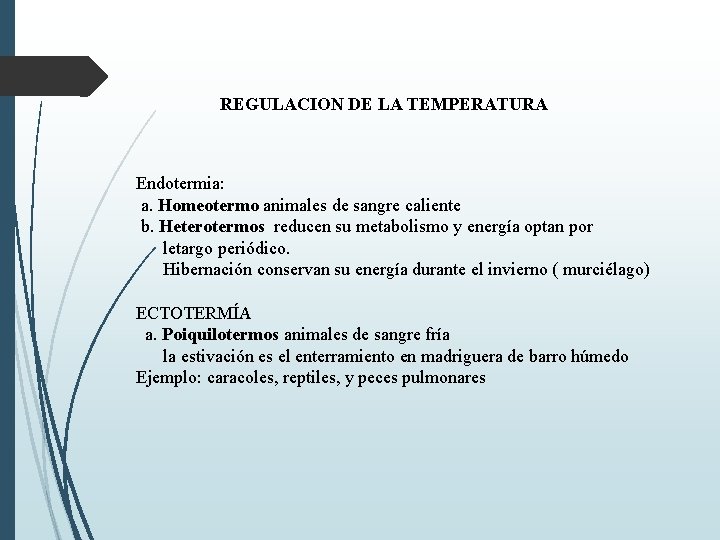 REGULACION DE LA TEMPERATURA Endotermia: a. Homeotermo animales de sangre caliente b. Heterotermos reducen