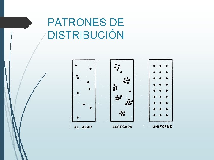 PATRONES DE DISTRIBUCIÓN 