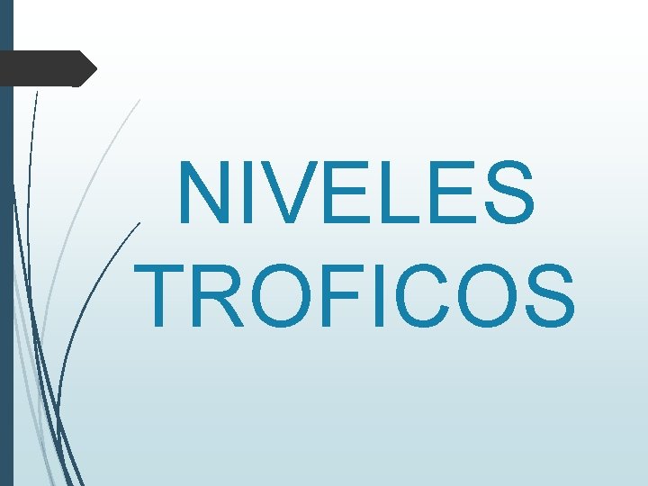 NIVELES TROFICOS 