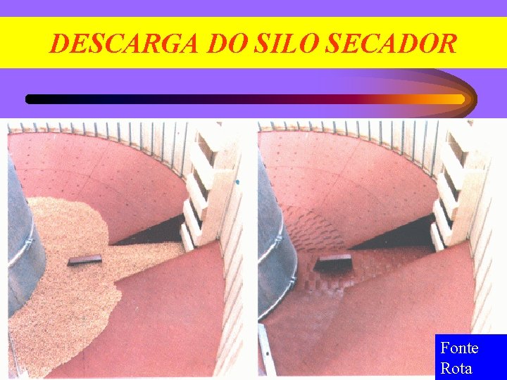 DESCARGA DO SILO SECADOR Fonte Rota 