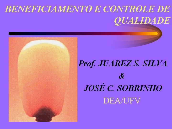 BENEFICIAMENTO E CONTROLE DE QUALIDADE Prof. JUAREZ S. SILVA & JOSÉ C. SOBRINHO DEA/UFV