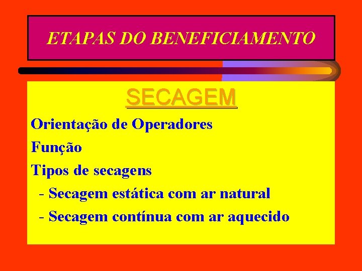 ETAPAS DO BENEFICIAMENTO SECAGEM Orientação de Operadores Função Tipos de secagens - Secagem estática