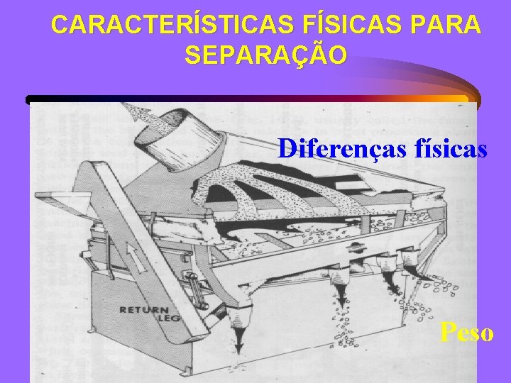 CARACTERÍSTICAS FÍSICAS PARA SEPARAÇÃO Diferenças físicas Peso 