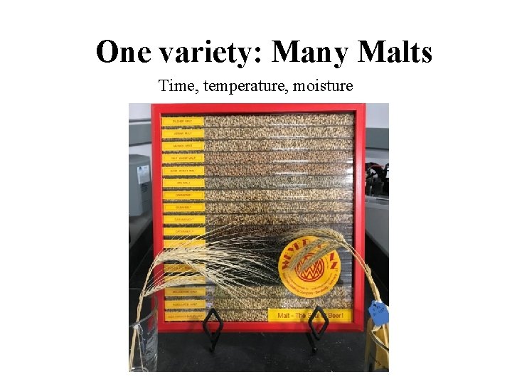 One variety: Many Malts Time, temperature, moisture 