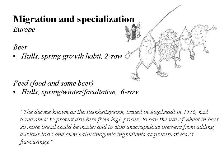 Migration and specialization Europe Beer • Hulls, spring growth habit, 2 -row Feed (food