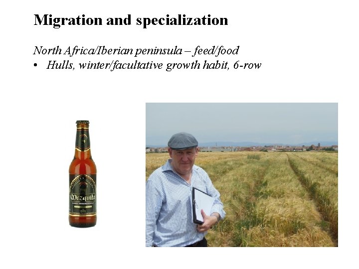 Migration and specialization North Africa/Iberian peninsula – feed/food • Hulls, winter/facultative growth habit, 6