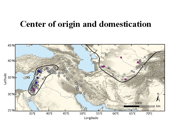 Center of origin and domestication 