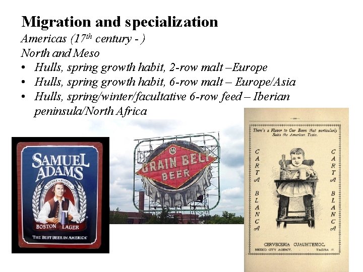 Migration and specialization Americas (17 th century - ) North and Meso • Hulls,