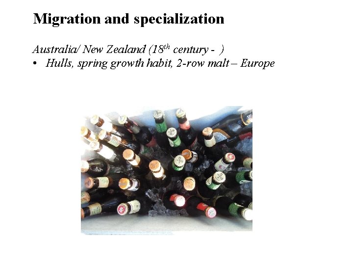 Migration and specialization Australia/ New Zealand (18 th century - ) • Hulls, spring