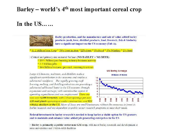 Barley – world’s 4 th most important cereal crop In the US…… 