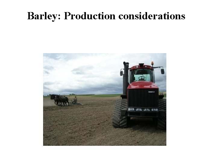 Barley: Production considerations 