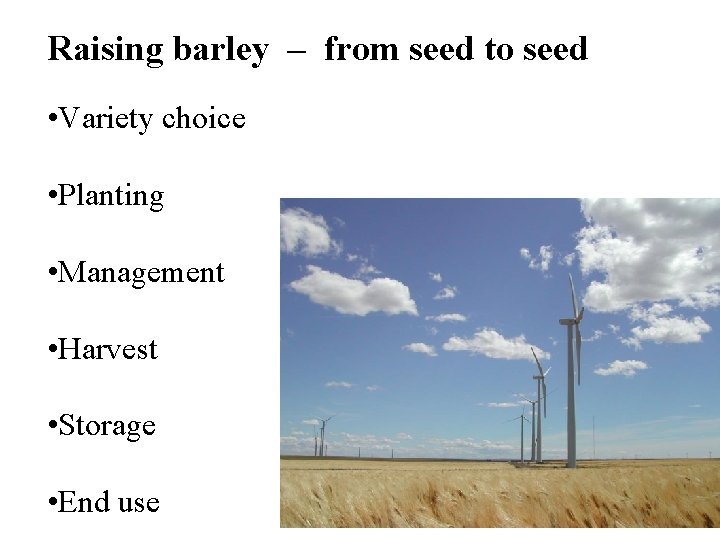 Raising barley – from seed to seed • Variety choice • Planting • Management