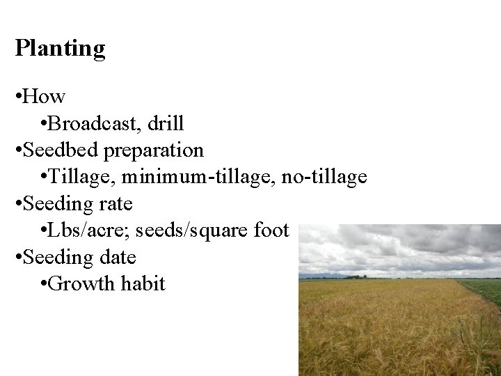 Planting • How • Broadcast, drill • Seedbed preparation • Tillage, minimum-tillage, no-tillage •