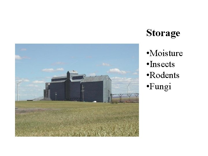 Storage • Moisture • Insects • Rodents • Fungi 
