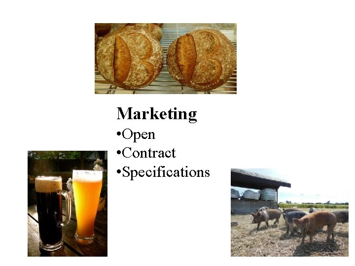 Marketing • Open • Contract • Specifications 