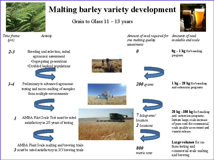 Malting barley variety development Grain to Glass 11 – 13 years Time frame (yrs)