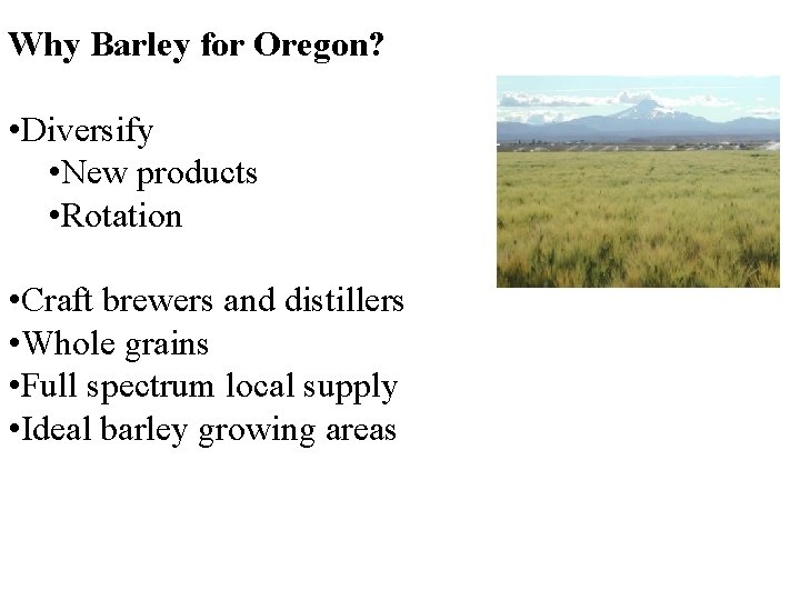 Why Barley for Oregon? • Diversify • New products • Rotation • Craft brewers