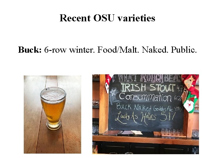 Recent OSU varieties Buck: 6 -row winter. Food/Malt. Naked. Public. 