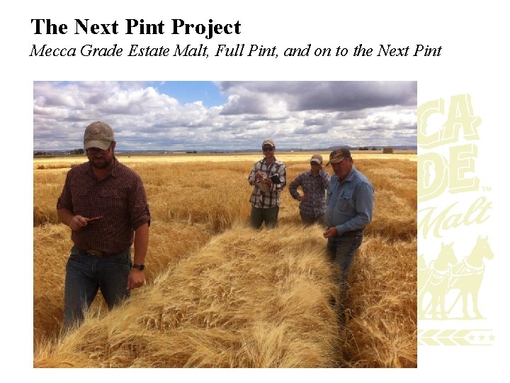 The Next Pint Project Mecca Grade Estate Malt, Full Pint, and on to the