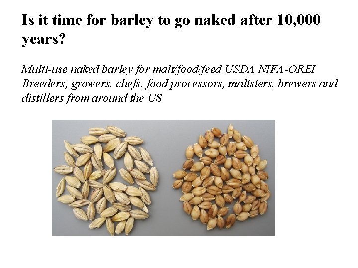 Is it time for barley to go naked after 10, 000 years? Multi-use naked