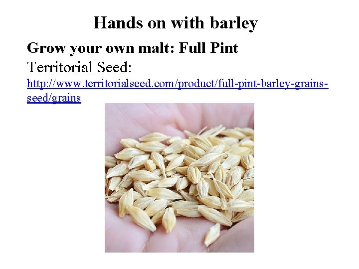 Hands on with barley Grow your own malt: Full Pint Territorial Seed: http: //www.
