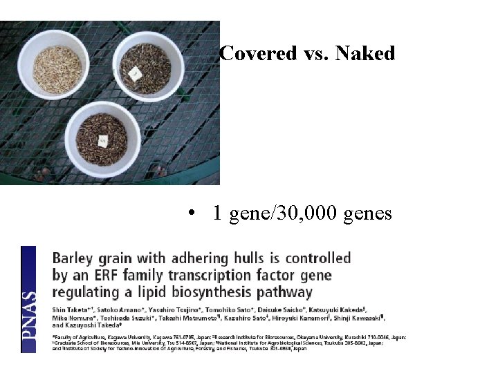 Covered vs. Naked • 1 gene/30, 000 genes 