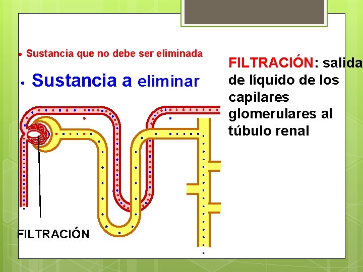 Sustancia que no debe ser eliminada Sustancia a eliminar FILTRACIÓN: salida de líquido de