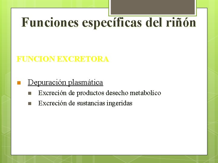 Funciones específicas del riñón FUNCION EXCRETORA n Depuración plasmática n n Excreción de productos