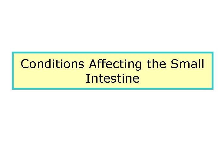 Conditions Affecting the Small Intestine 