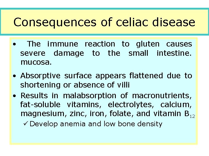 Consequences of celiac disease • The immune reaction to gluten causes severe damage to