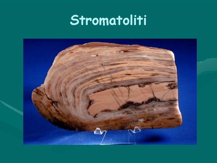 Stromatoliti 