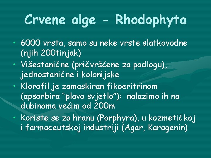 Crvene alge - Rhodophyta • 6000 vrsta, samo su neke vrste slatkovodne (njih 200