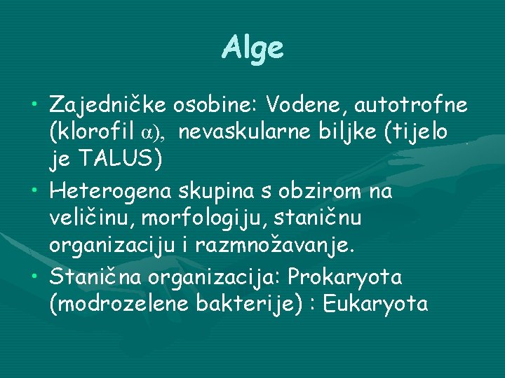 Alge • Zajedničke osobine: Vodene, autotrofne (klorofil α), nevaskularne biljke (tijelo je TALUS) •