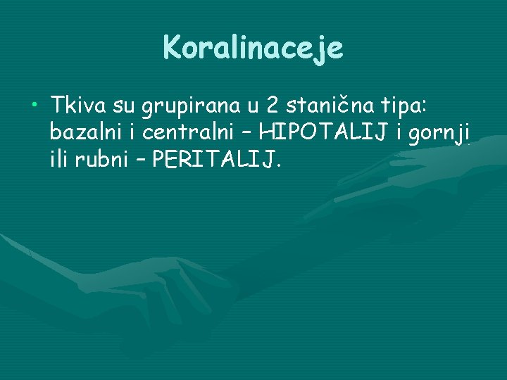 Koralinaceje • Tkiva su grupirana u 2 stanična tipa: bazalni i centralni – HIPOTALIJ