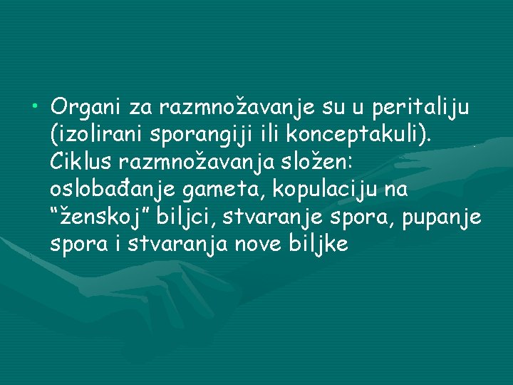  • Organi za razmnožavanje su u peritaliju (izolirani sporangiji ili konceptakuli). Ciklus razmnožavanja