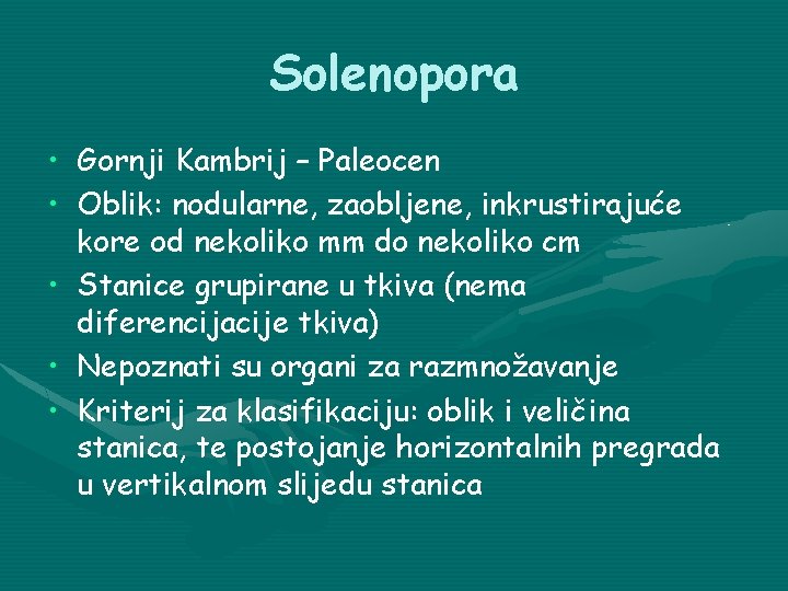 Solenopora • Gornji Kambrij – Paleocen • Oblik: nodularne, zaobljene, inkrustirajuće kore od nekoliko