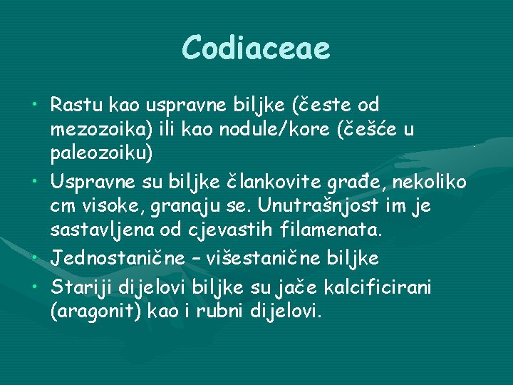 Codiaceae • Rastu kao uspravne biljke (česte od mezozoika) ili kao nodule/kore (češće u