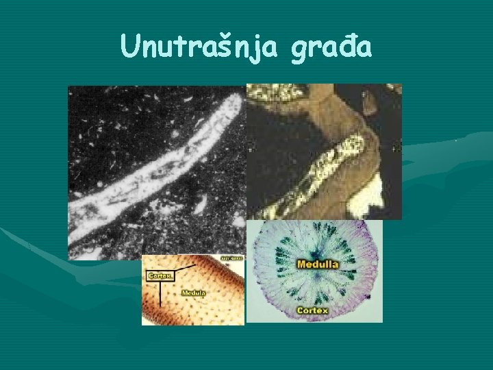 Unutrašnja građa 