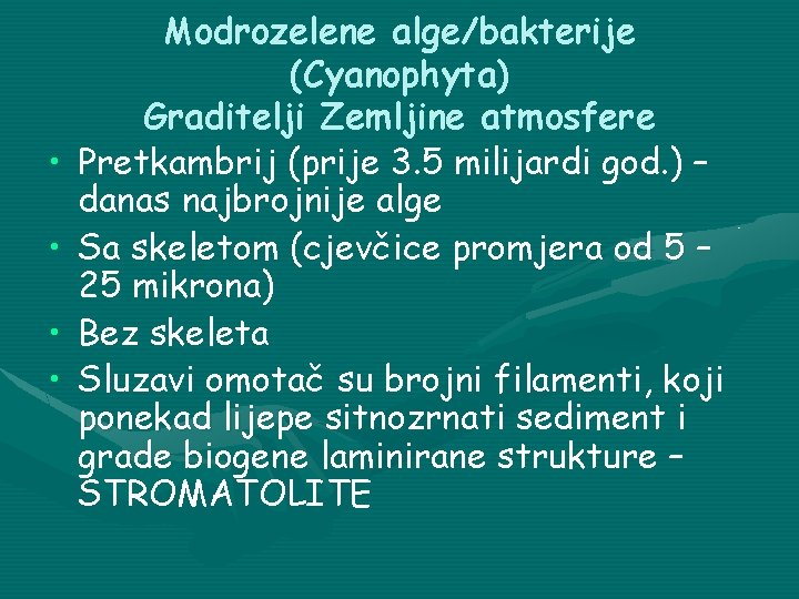  • • Modrozelene alge/bakterije (Cyanophyta) Graditelji Zemljine atmosfere Pretkambrij (prije 3. 5 milijardi