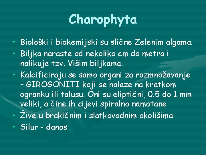 Charophyta • Biološki i biokemijski su slične Zelenim algama. • Biljka naraste od nekoliko