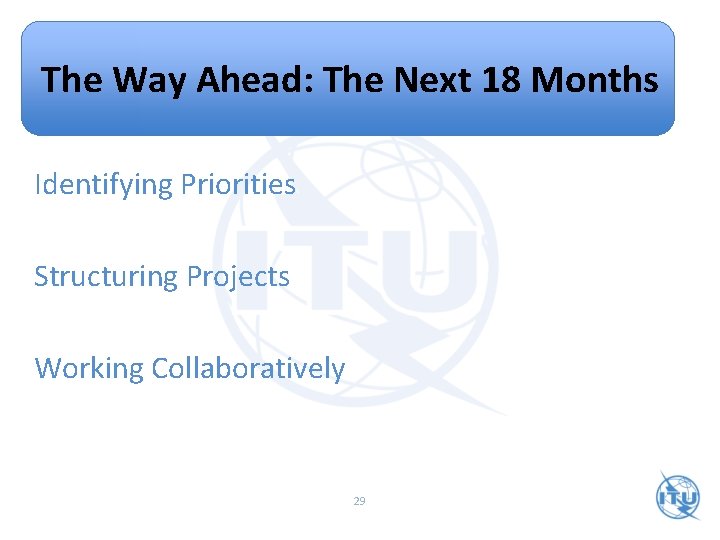 The Way Ahead: The Next 18 Months Identifying Priorities Structuring Projects Working Collaboratively 29