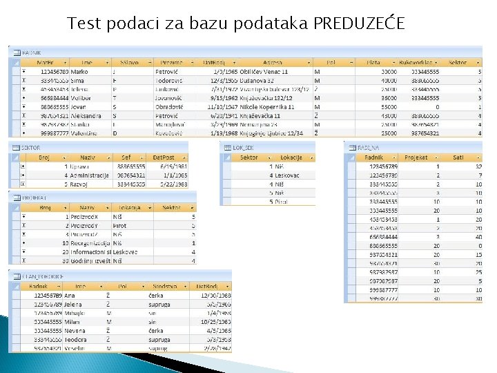 Test podaci za bazu podataka PREDUZEĆE 