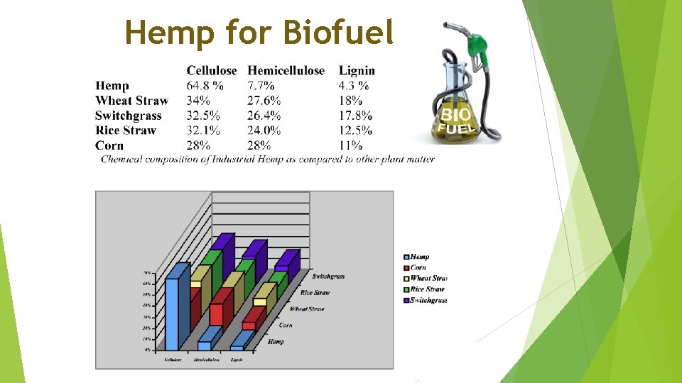 Hemp for Biofuel 