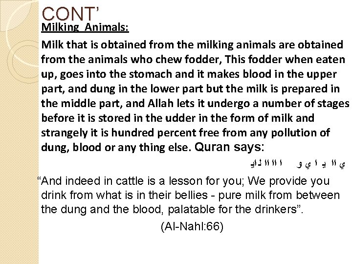 CONT’ Milking Animals: Milk that is obtained from the milking animals are obtained from