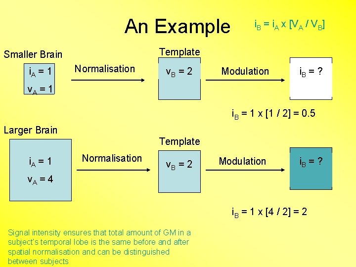 An Example Template Smaller Brain i. A = 1 i. B = i. A