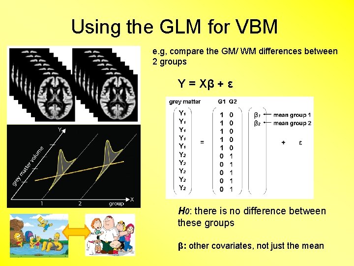 Using the GLM for VBM e. g, compare the GM/ WM differences between 2