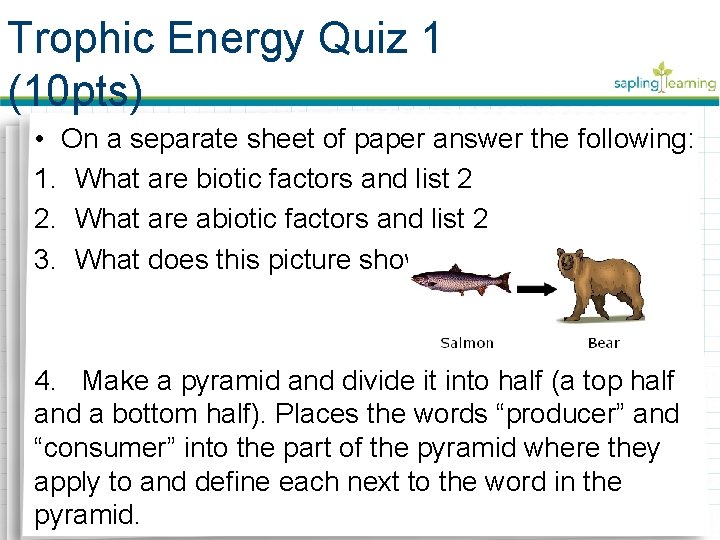 Trophic Energy Quiz 1 (10 pts) • On a separate sheet of paper answer
